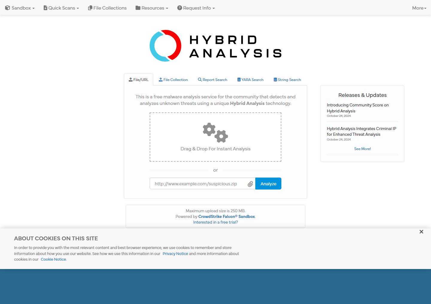 Hybrid Analysis API key request form with free and full key selection